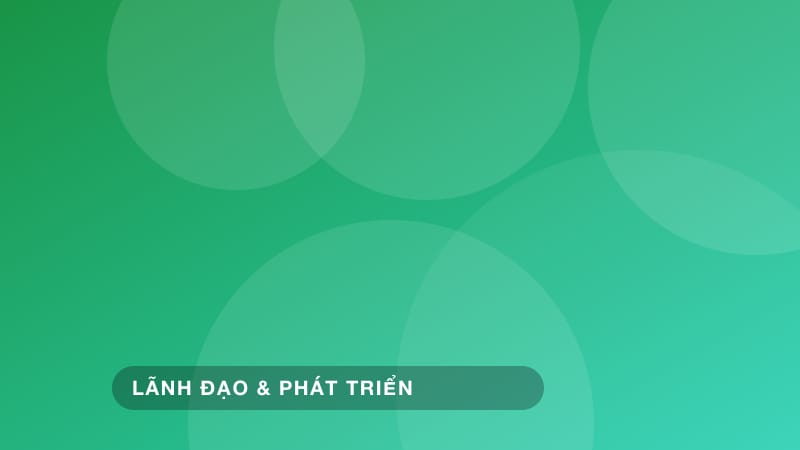 Khung quản lý sự thay đổi: lãnh đạo các quá trình chuyển đổi tổ chức