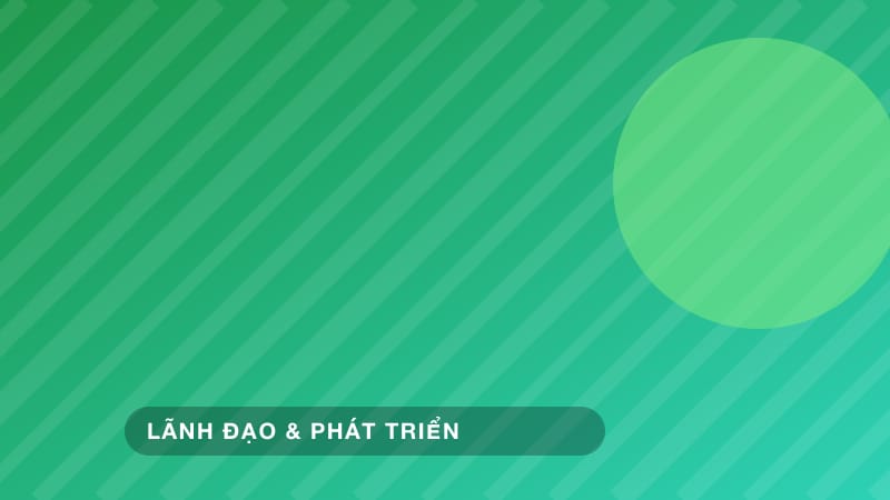 Lãnh đạo trong khủng hoảng: dẫn dắt đội ngũ vượt qua thời kỳ khó khăn